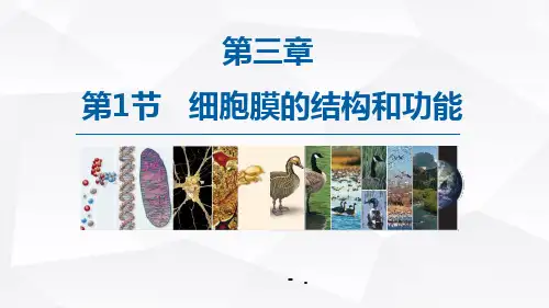 《细胞膜的结构和功能》细胞的基本结构PPT
