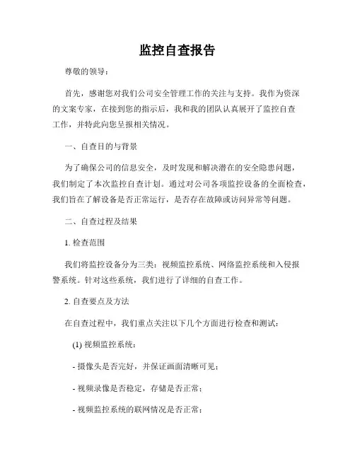 监控自查报告