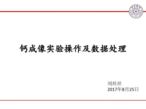 钙成像实验操作及数据处理