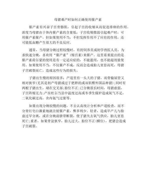 母猪难产时如何正确使用催产素