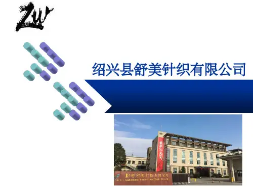 针织面料印染公司工厂简介模板PPT