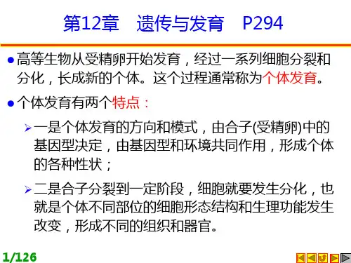 遗传学：朱军第三版：第12章 遗传与发育