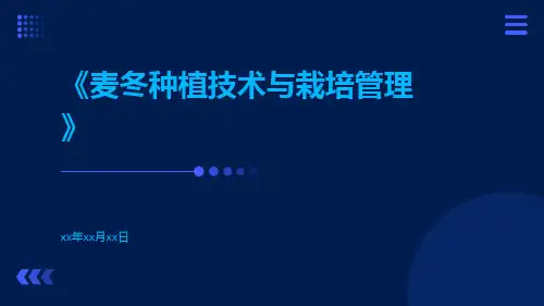 麦冬种植技术与栽培管理