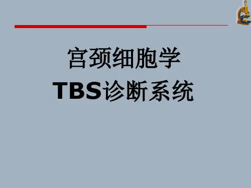 最新 宫颈细胞学TBS诊断系统(134页)