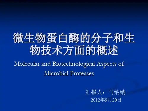 微生物蛋白酶的分