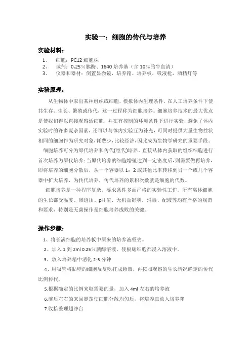 分子生物学实验