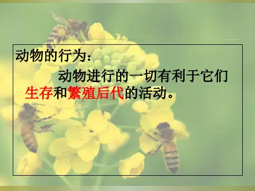 人教版八年级上册第二章第一节动物的运动课件(27张ppt)