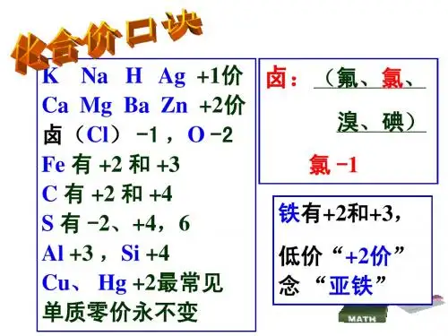 化学式和化合价3