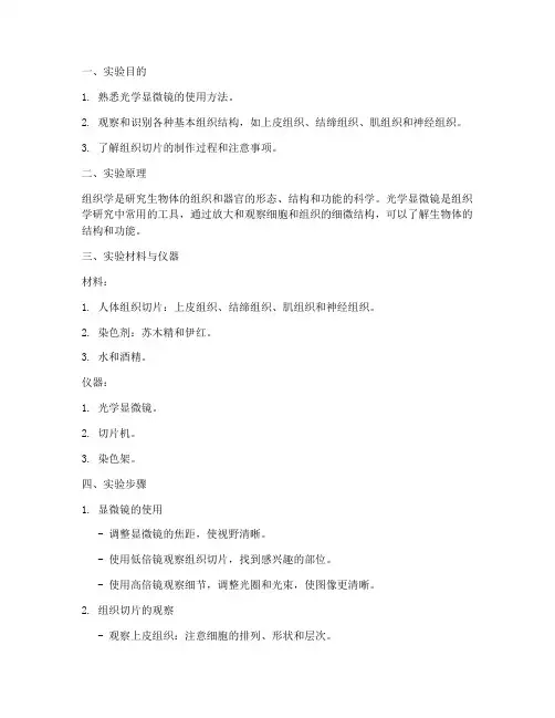 组原实验报告