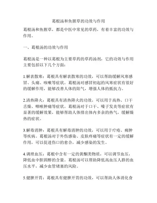 葛根汤和鱼腥草的功效与作用