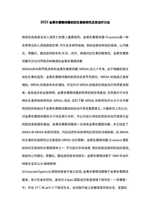 2023金黄色葡萄球菌的抗生素耐药性及其治疗方法