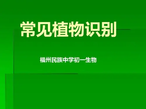 常见学校植物