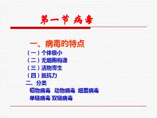 食品微生物专业知识讲座