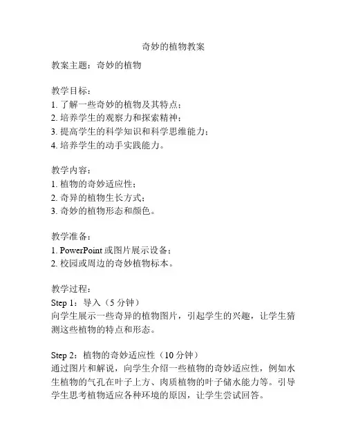 奇妙的植物教案