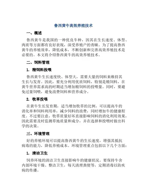 鲁西黄牛高效养殖技术