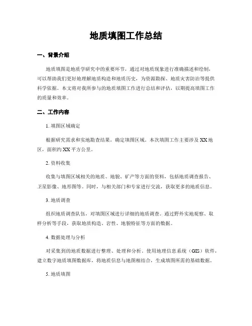 地质填图工作总结