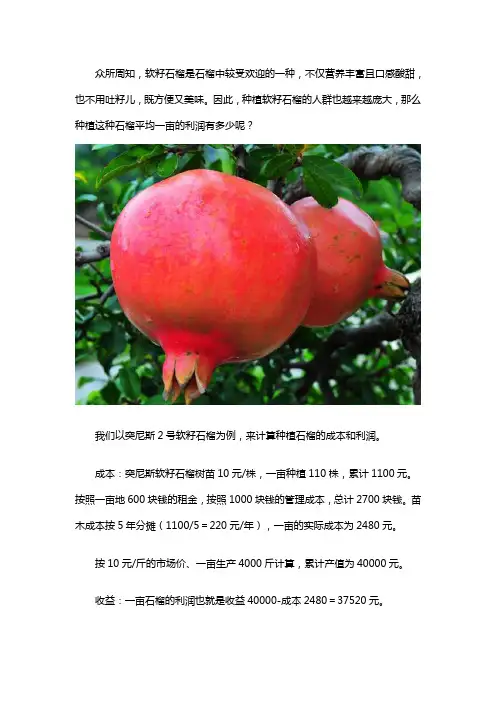 软籽石榴一亩地利润