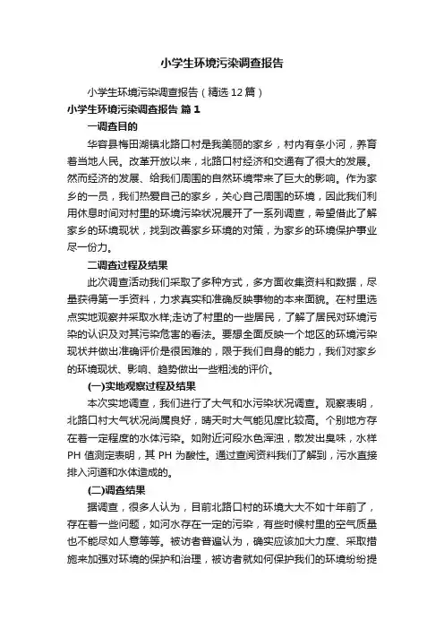 小学生环境污染调查报告