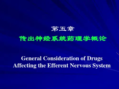 第05章传出神经系统概论ppt课件