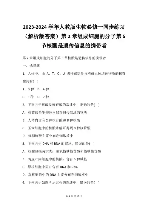 2023-2024学年人教版生物必修一同步练习(解析版答案)第2章组成细胞的分子第5节核酸是遗传信息