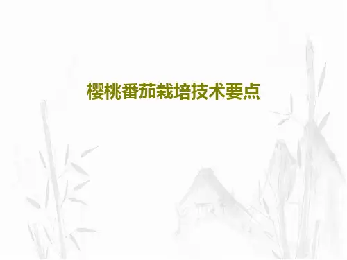 樱桃番茄栽培技术要点共24页文档