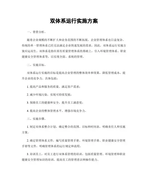 双体系运行实施方案