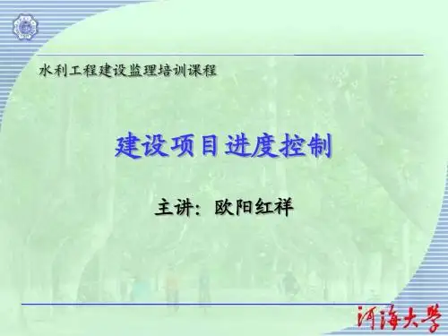 水利建设监理建设项目进度控制