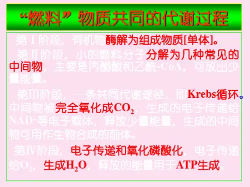 复旦大学生化课件糖代谢(1)