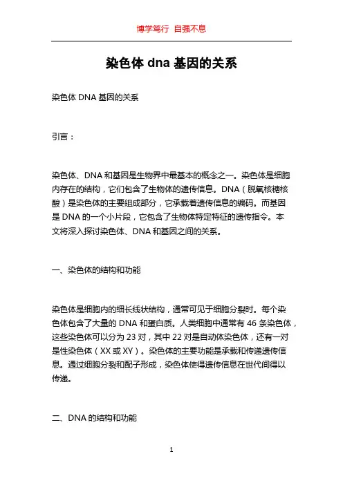 染色体 dna 基因的关系