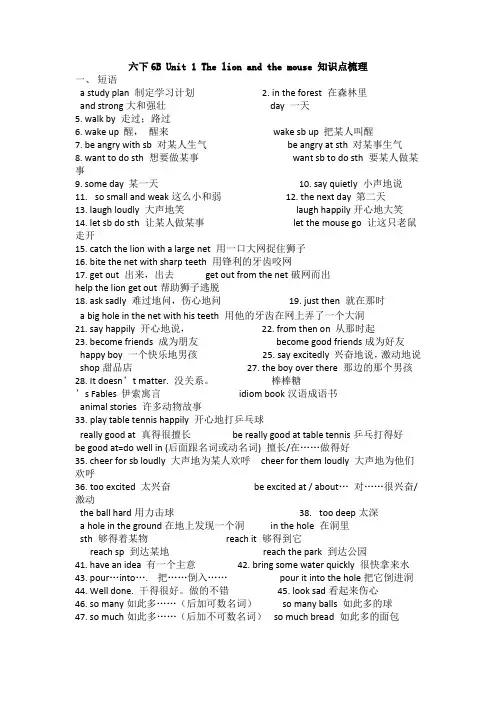 译林牛津英语6B知识点