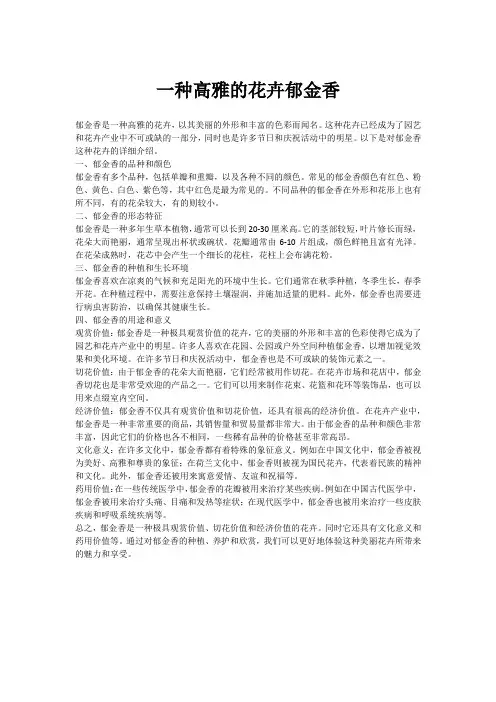 一种高雅的花卉郁金香