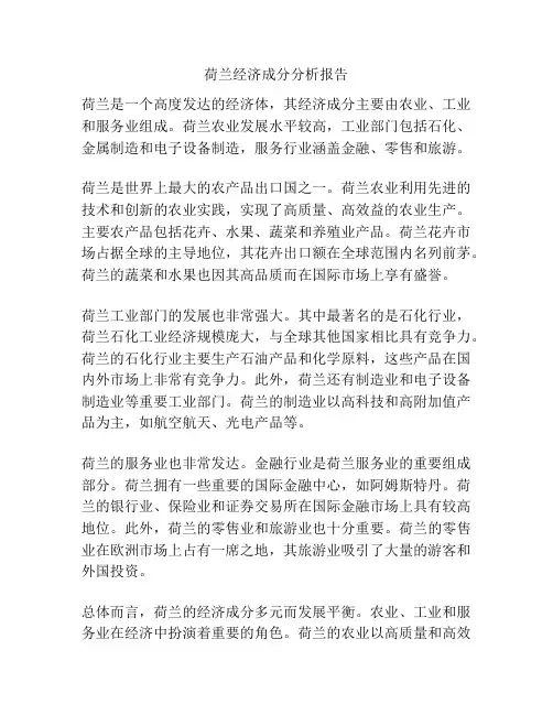 荷兰经济成分分析报告
