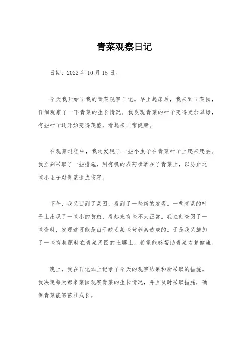 青菜观察日记