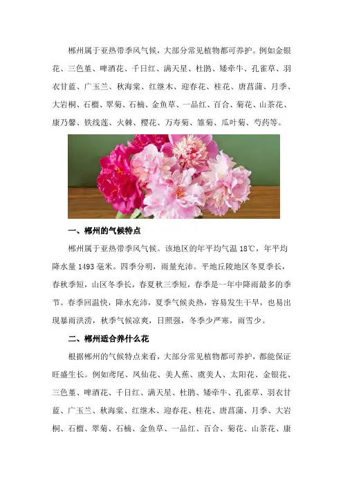 郴州适合养什么花,市花和市树是什么