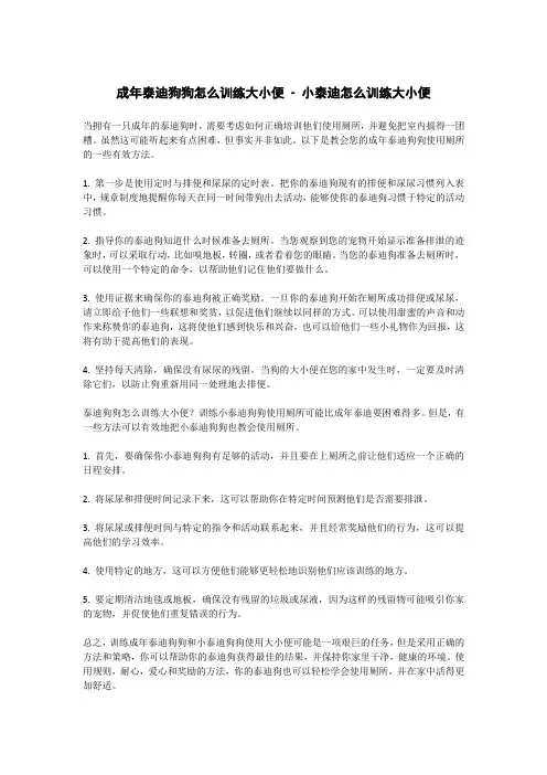 成年泰迪狗狗怎么训练大小便 - 小泰迪怎么训练大小便