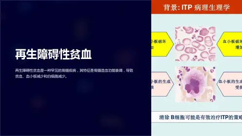 再生障碍性贫血ppt