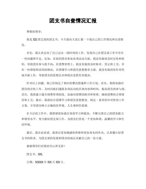 团支书自查情况汇报