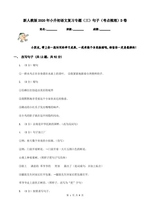 新人教版2020年小升初语文复习专题(三)句子(考点梳理)D卷