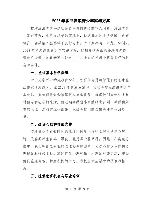 2023年救助流浪青少年实施方案