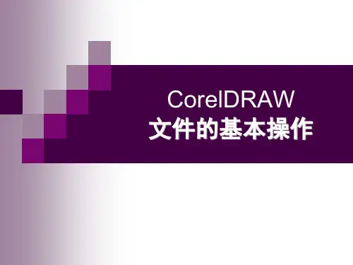 CorelDRAWX4标准教程PPT