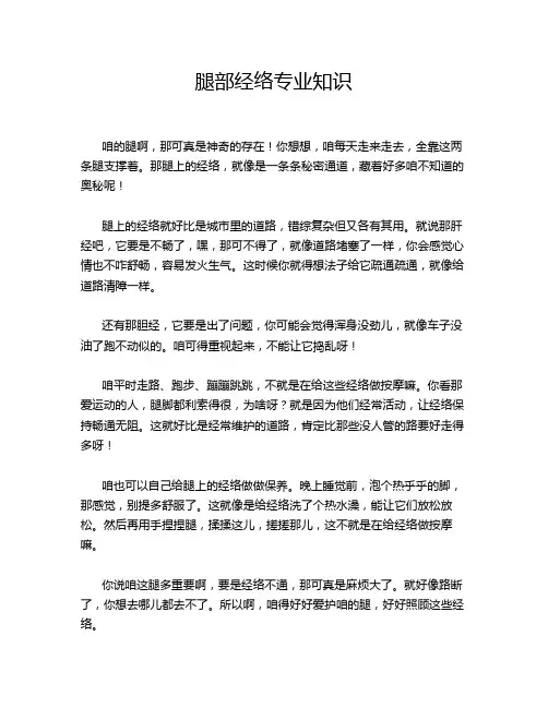 腿部经络专业知识
