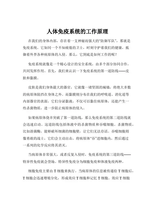 人体免疫系统的工作原理