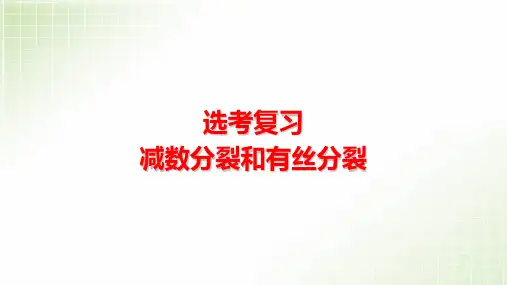 高中生物减数分裂和有丝分裂复习公开课PPT课件