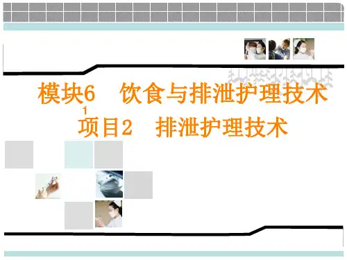 排便的护理PPT课件