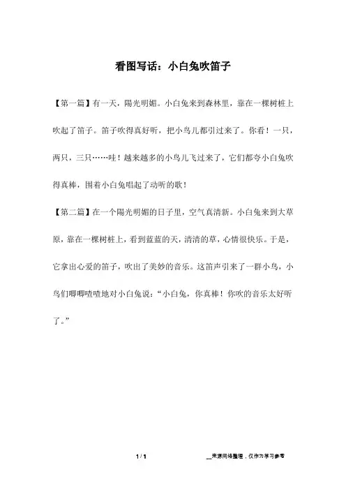 看图写话：小白兔吹笛子