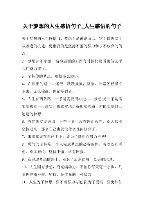 关于梦想的人生感悟句子_人生感悟的句子