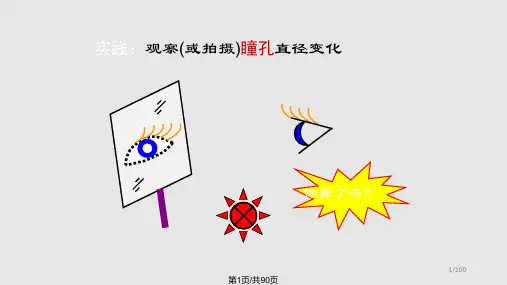 视觉神经生理学PPT课件
