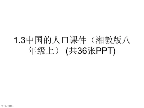 优选1.3中国的人口课件(湘教版八年级上) (共36张PPT)
