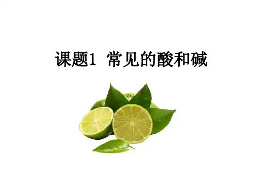 人教版九年级下册化学 第十单元 酸和碱 《常见的酸和碱》教学课件
