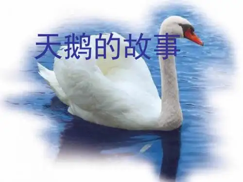 天鹅的故事-PPT精品教学课件3